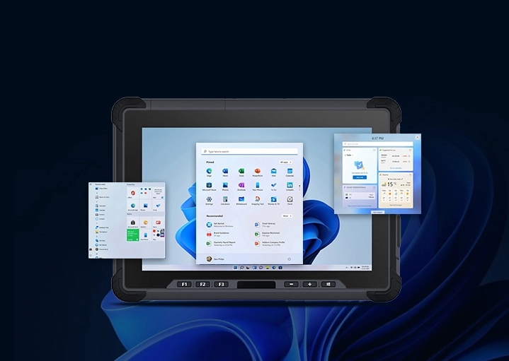 Customized Windows OS & BIOS Configuration